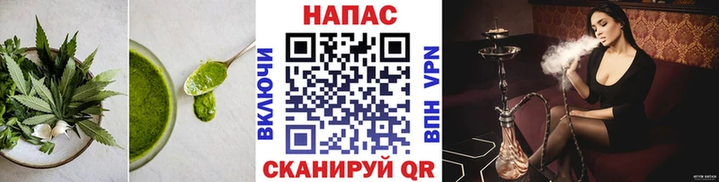 наркотики  Суровикино  Canna-Cookies конопля 