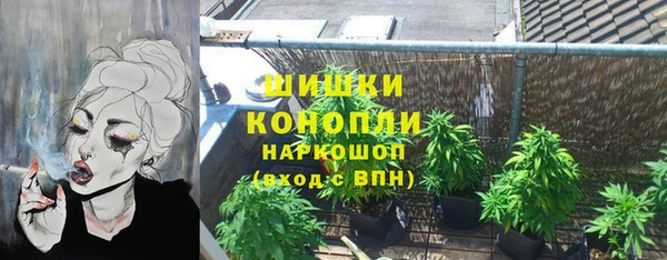 винт Аркадак