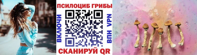 дарнет шоп  OMG ссылка  Галлюциногенные грибы Cubensis  Суровикино 